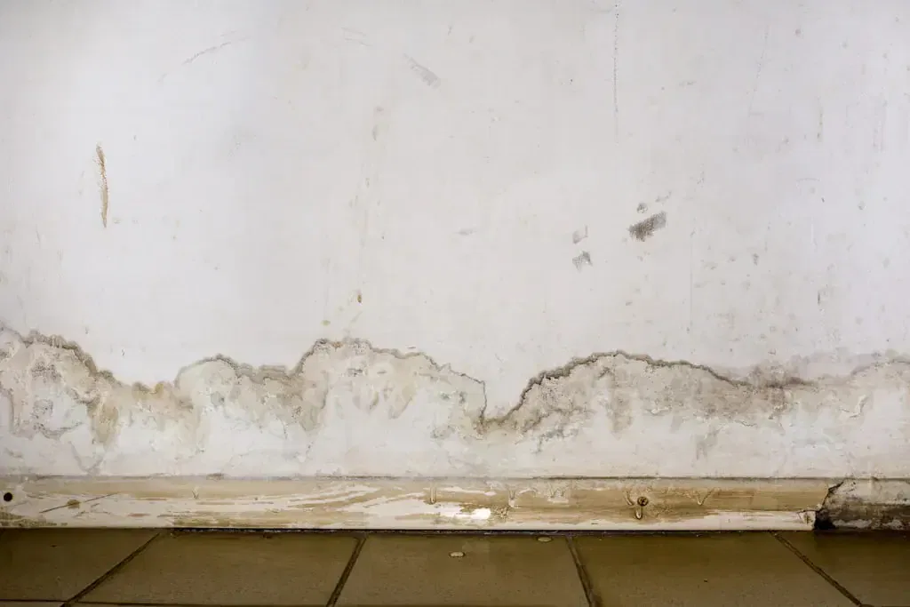 Wall with extensive water damage and mold growth along the bottom edge near the floor, showing deterioration and stains.