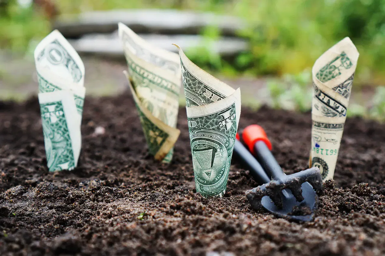 Dollar bills planted in soil, resembling seedlings, with a small garden rake beside them, symbolizing financial growth.