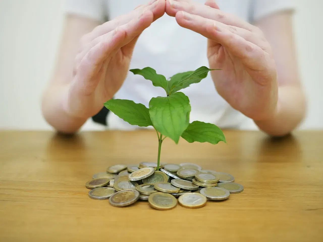 Hands encircle a young plant growing from a pile of coins on a wooden table, symbolizing financial growth and protection.