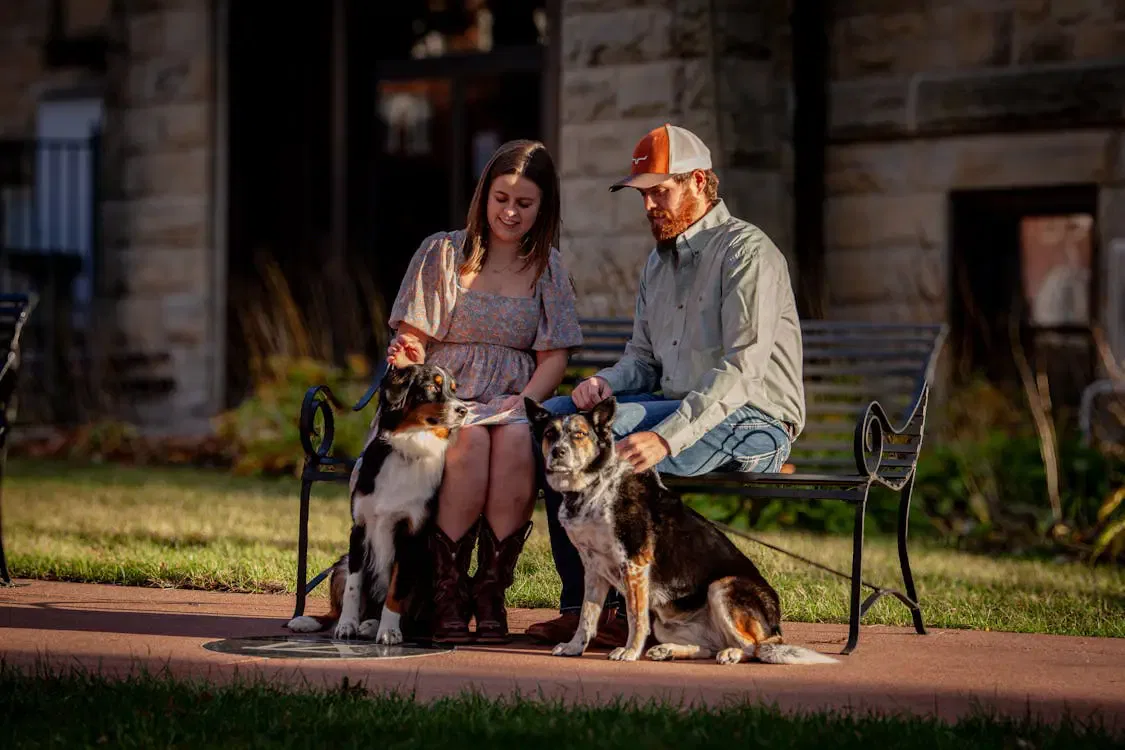 Couple sitting on a bench with two dogs, related to NSW legal guide on banning pets in strata by-laws due to allergies.