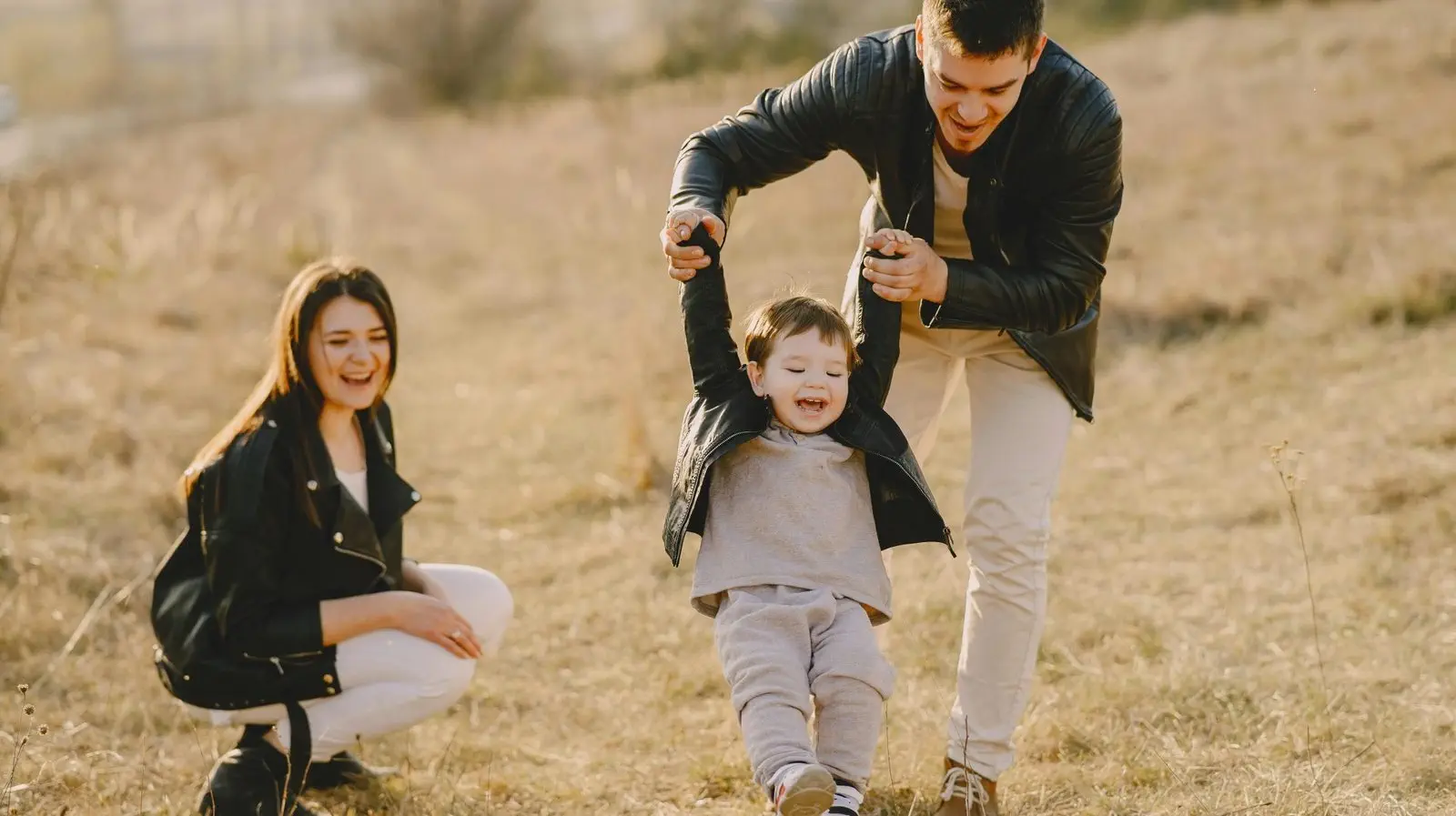 Wongo Creek Wills & Estates Lawyers: Trusted Guidance