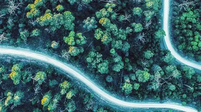 Aerial view of a winding road through a lush green forest.