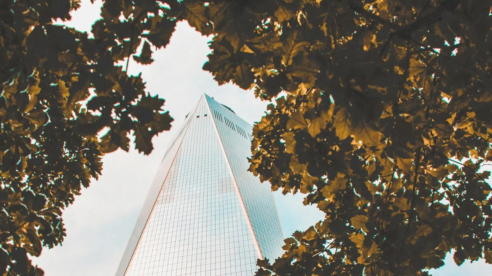 Looking up at a modern skyscraper framed by green tree branches with a partly cloudy sky in the background.